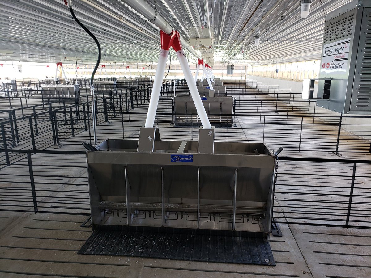homan_inc's tweet photo. Getting some hog barns up after all the spring rains. Great looking site and equipment. @AP_Pork #morebaconplease https://t.co/mInpK9xDmG