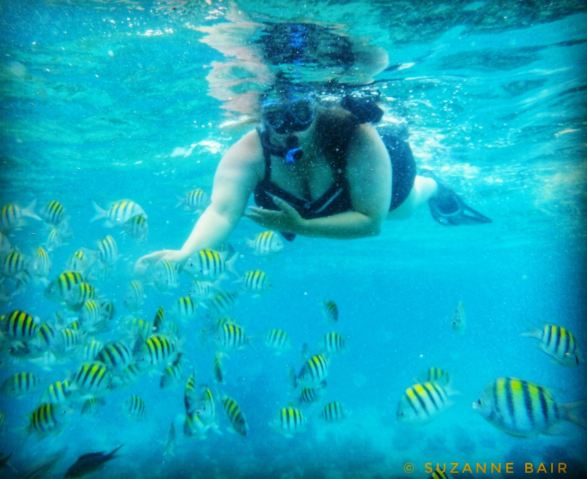 I am so sad to leave the beauty of Negril, Jamaica behind today but I have had so much fun building new memories. #AccessibleTravel #OneLove #AdaptiveSports <a href="/VisitJamaicaNow/">Visit Jamaica</a>  <a href="/FinnPartners/">FINN Partners</a> <a href="/SandalsResorts/">Sandals Resorts</a>