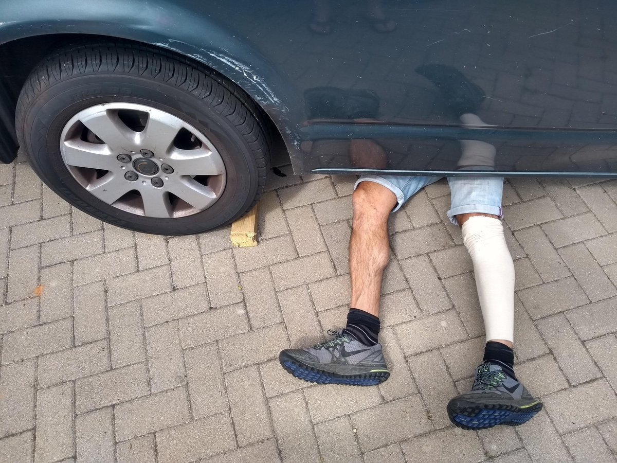 Aligned For Life tweet media