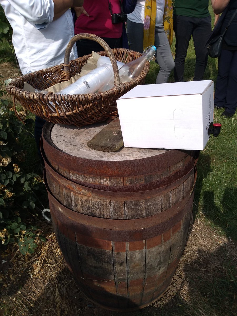 SamLEAF_Ed's tweet photo. Not your average team meeting. Farm walk, and a vineyard. It's not Yorkshire, but Somerset's not too shabby! #Workinghonest https://t.co/lOSpc3CxIR