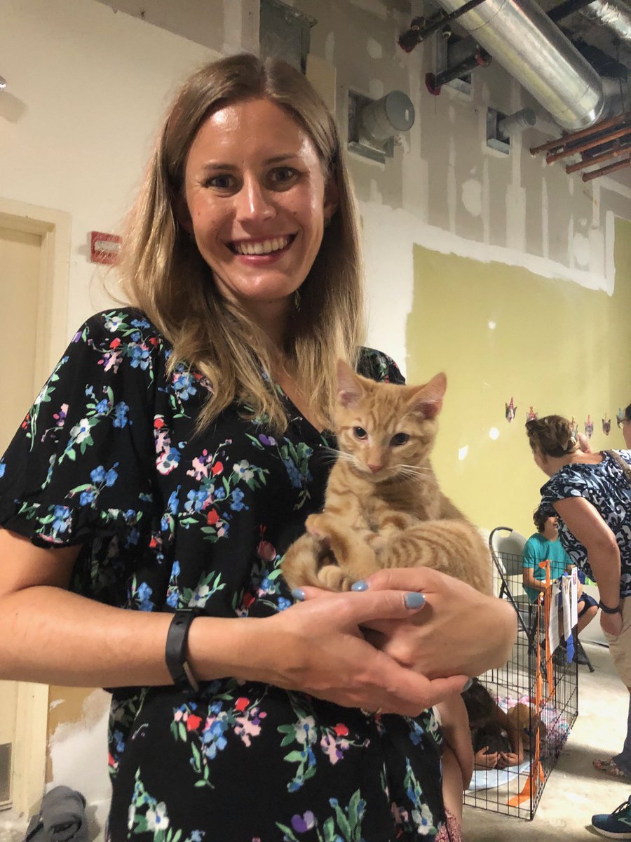 HomewardTrails's tweet photo. We hope you’ll join us this weekend at our Pop-Up Kitten Adoption Party! 🎉 Stop by @Market_Common from 12-2pm on Saturday &amp; Sunday for adoptable kittens, scavenger hunts, &amp; more! 🐱 #kittenparties #popup #marketcommonclarendon #adoptdontshop https://t.co/SzchuOTUiv