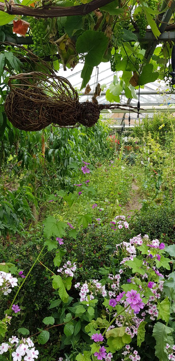 Lab meeting at the secret herb garden 🥰 #plantgoodness