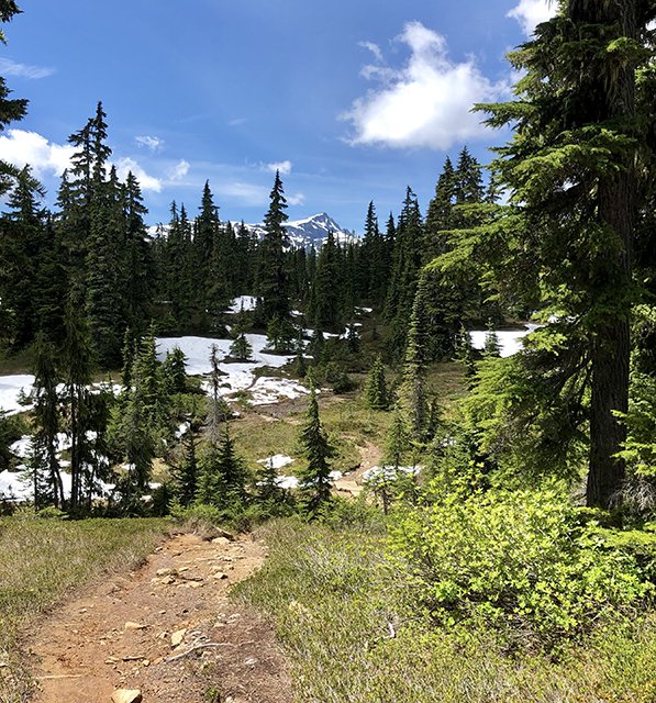 strathcona_park's tweet photo. @strathconawild will be hosting 2 fun &amp; educational events this weekend at Strathcona park. Join them:
✔️Sat July 13 @ 9:30 for a 2-3 hr interpretive walk at Paradise Meadows
✔️Sun July 14 @ 9 for a 7 hr hike to Divers &amp; Rossiter's Lakes
Full info: https://t.co/lJtz8hDqRY https://t.co/aJffusO9BA