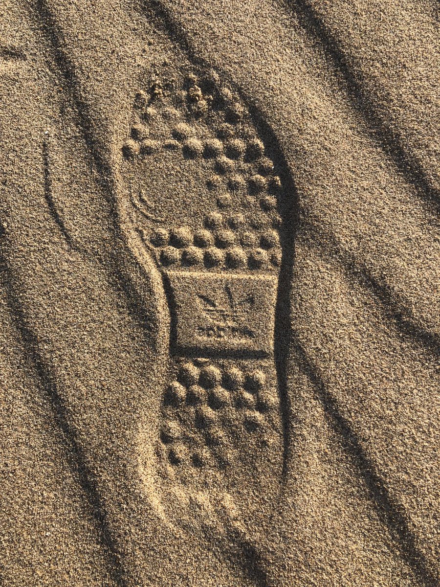 man_savings's tweet image. Guess the shoe??? 🤔👟 ///

Don&apos;t tell them @indierob9 🤫
#justabitoffun #AdiFamily