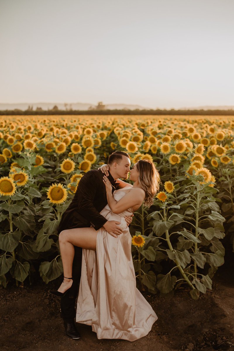 Love__Beccaa's tweet photo. Sunflower Season 🌻💛 If you need a photographer in the Bay Area I’m your girl! @ beccatorresphoto is my Insta 🥰 https://t.co/8AcljfbvG8