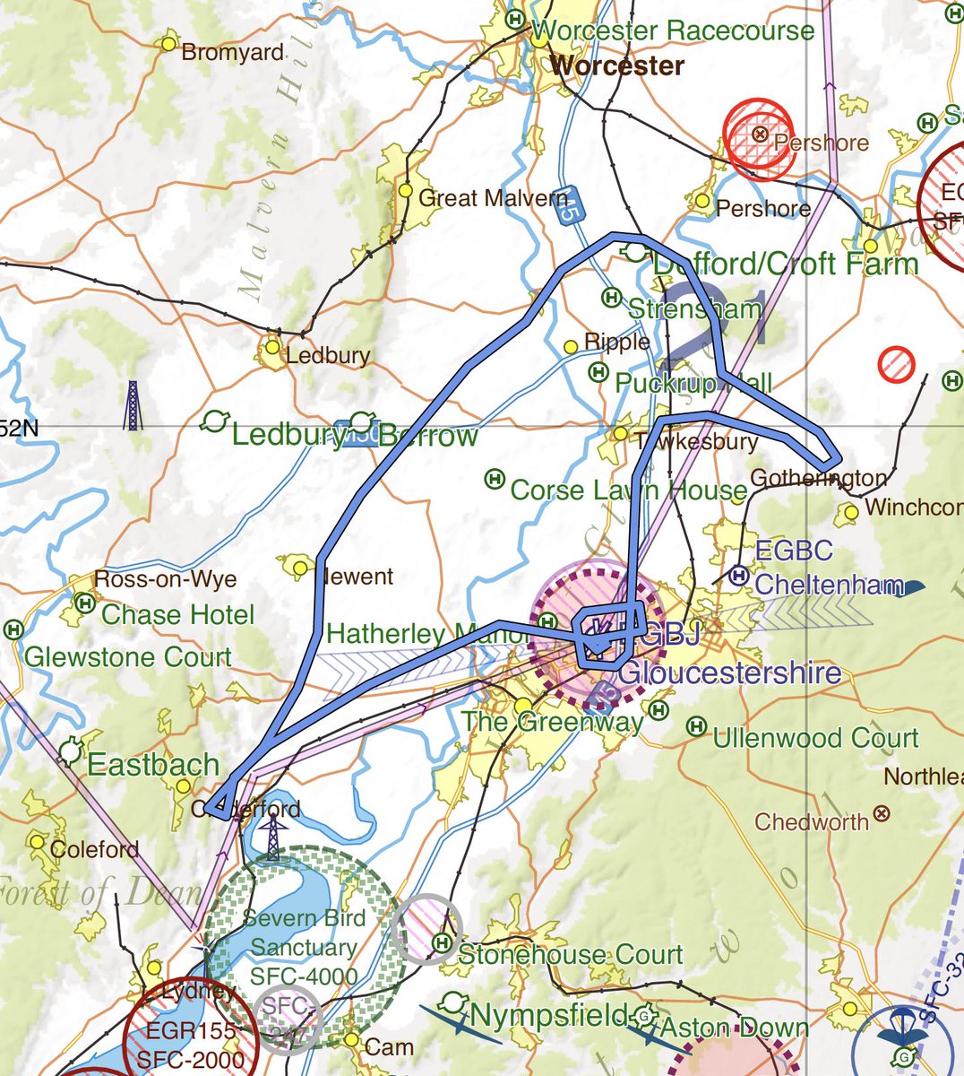 Today's flying. Arty, a Blackbird perching.😀