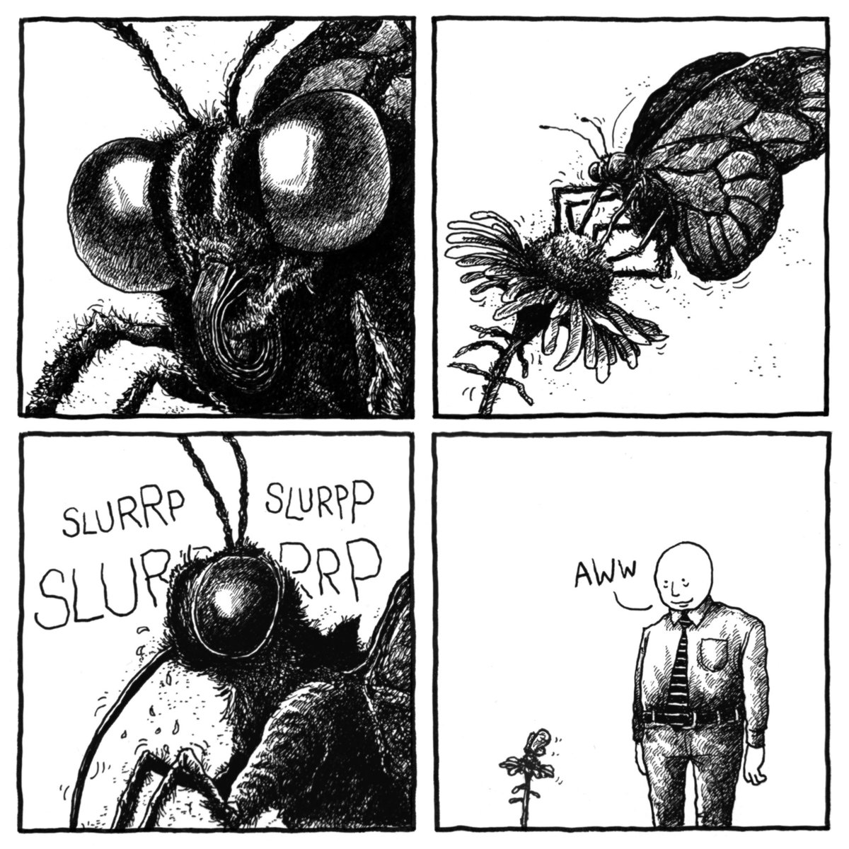 jakelikesonions's tweet photo. Butterflies https://t.co/I8RCoG1FaD