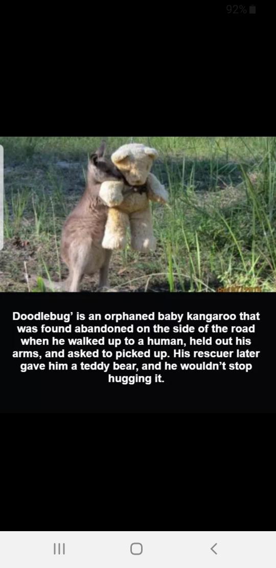 Rumrunner65's tweet image. 