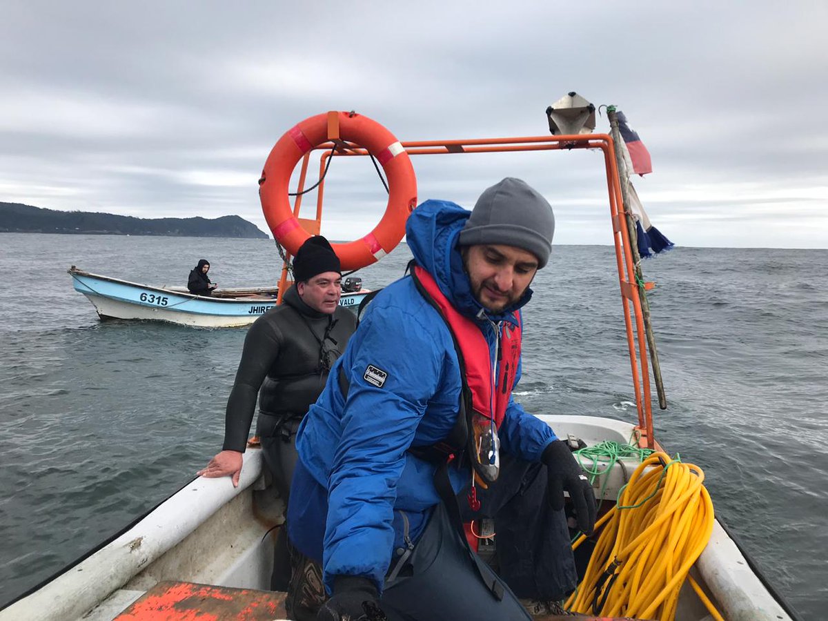 BITECMA's tweet photo. Instalamos ayer cuelgas para la engorda de Choro (Choromytilus chorus) en el AAMERB de Punta Ñumpulli, de Caleta Los Molinos #valdiviacl.
Proyecto @AcuiculturaUCN + @FIPASUR + #BITECMA.
#Acuicultura #aquaculture #pescaartesanal #AreasdeManejo #MarineResearch #Mitilidos https://t.co/CgzOa0oRZT
