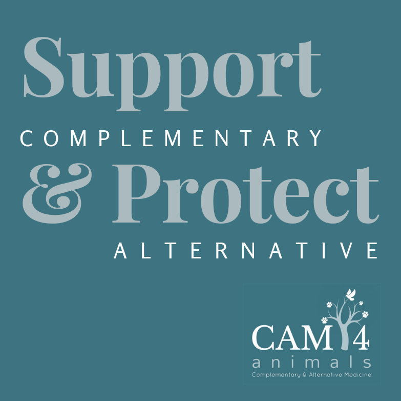 CAM4animals's tweet image. Supporting and protecting the health of our animals is important. It's YOUR choice to use Complementary &amp;amp; Alternative Medicines, so speak to your vet about all the treatment &amp;amp; therapy options available. 
Support us at: CAM4animals.co.uk
#SupportandProtect #CAM4animals