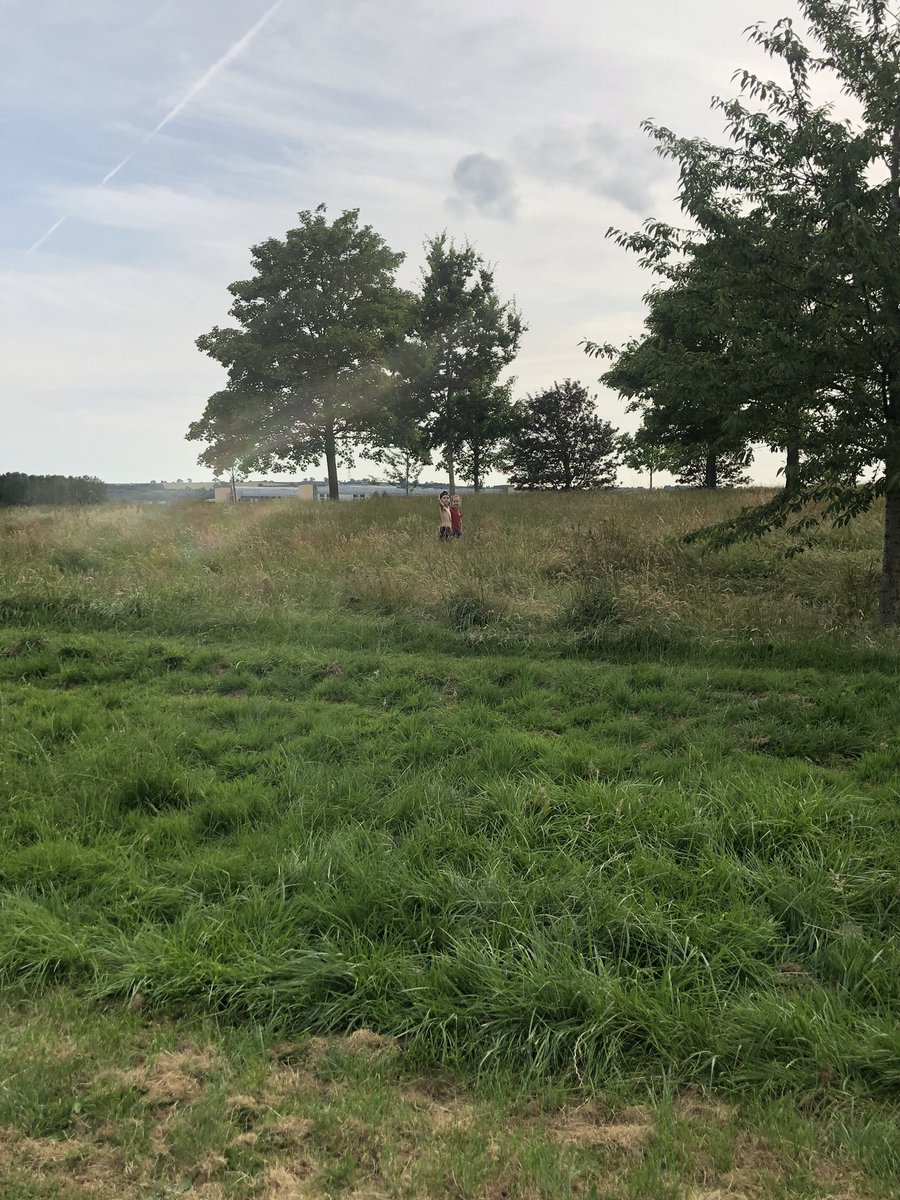 gavin_cabble's tweet photo. @BristolCouncil any danger of dusting the tractor off and cutting the grass over Hengrove Park? Nearly lost the kids earlier, it’s a joke. #wheresmycounciltaxgoing? https://t.co/dU25llqAIw