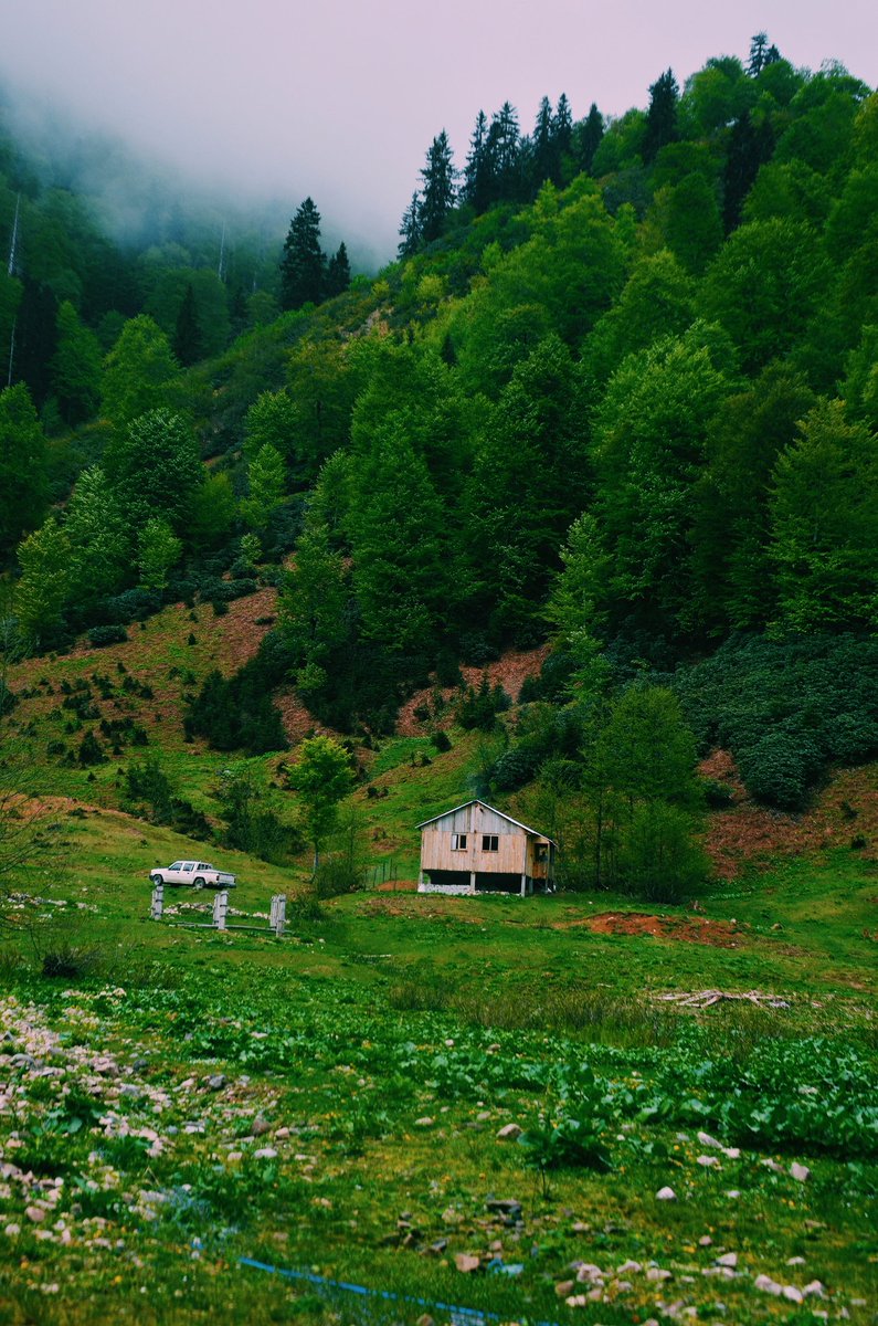 sonerkara08's tweet photo. Bir yer düşün doğanın içinde 🍃 

#Artvin #borçka https://t.co/3nVUerJrCx