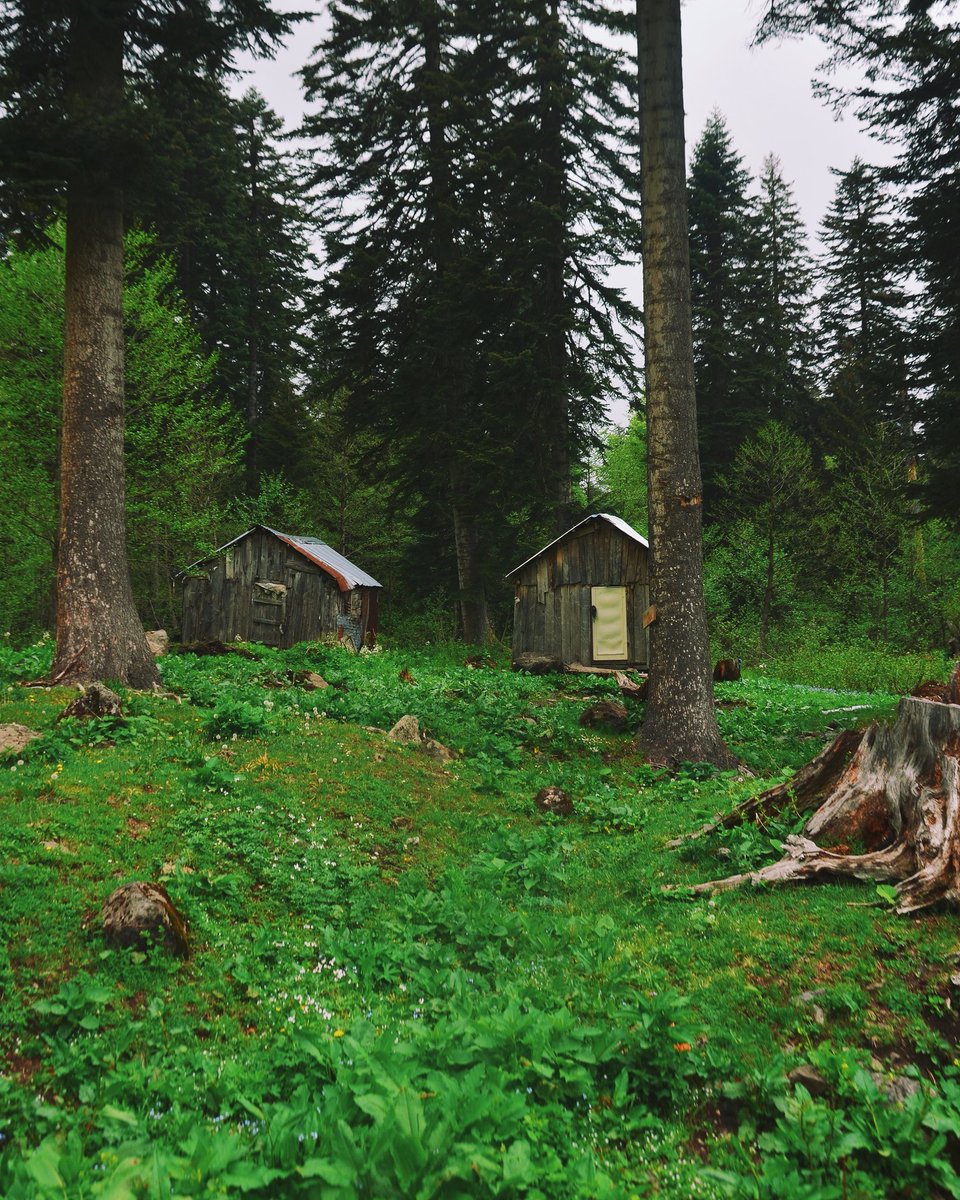 sonerkara08's tweet photo. Bir yer düşün doğanın içinde 🍃 

#Artvin #borçka https://t.co/3nVUerJrCx