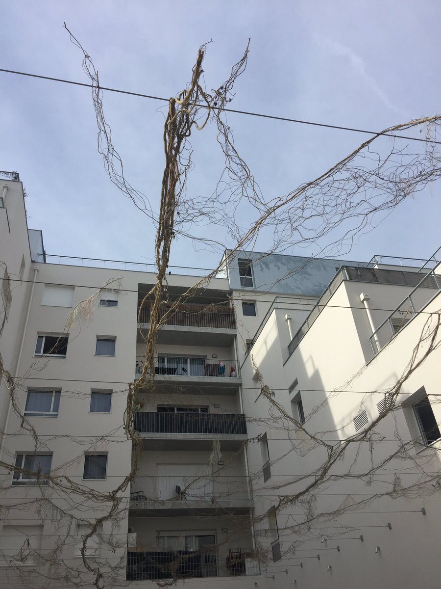 franckytrichet's tweet photo. Inauguration du programme « Inspirations » au cœur du quartier de la Création : 500 logements dont 107 sociaux et une œuvre du Voyage à Nantes d’Eva Jospin ! Une réalisation qui incarne un nouvel urbanisme collectif et inventif pour plus de liens et de vie au quotidien. https://t.co/5JvgbVel9r