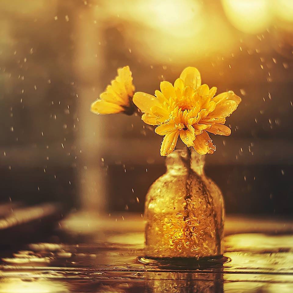 orkathistos's tweet image. Бывает откроешь сообщение, а оттуда... слова, как бабочки летят, задевая по лицу, по волосам... и ты сидишь весь в пыльце, начинаешь светиться изнутри, потому что есть люди на земле, с которыми поговоришь, как солнца выпьешь...