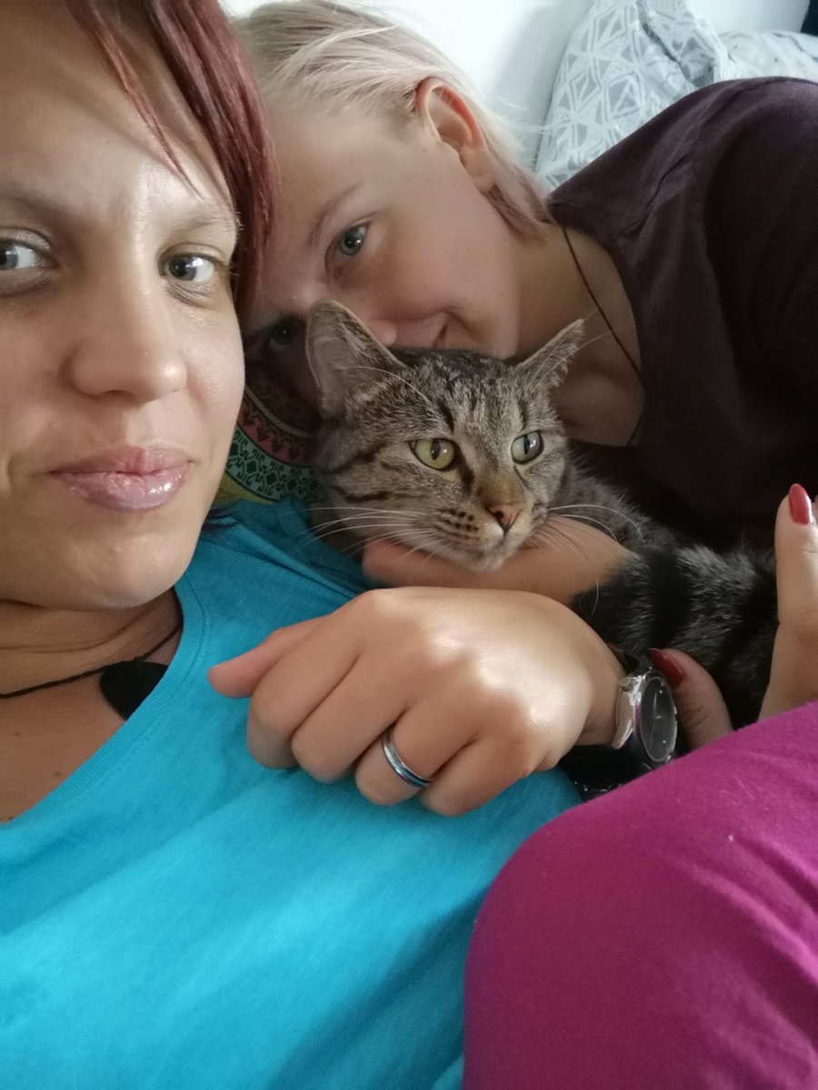 Chubby_Mosse's tweet photo. Ura za cartat!
#KeithTheCat #mi2 https://t.co/tCse3Ltzal
