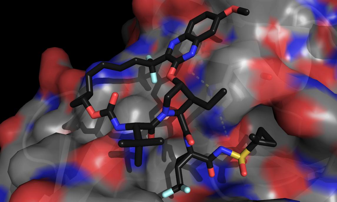 PDBeurope's tweet photo. Voxilaprevir, a component of #vosevi, a pan-genotypic hepatitis C virus drug, is new in the PDB today in complex with target NS3/4A protease.
It's solved by scientists @GileadSciences, who developed the drug.
https://t.co/DzM6Gmmah8 https://t.co/0g4kIsvm1p