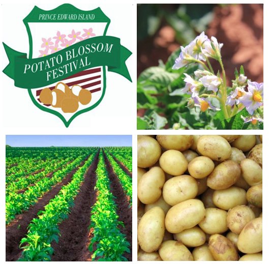 PEI Potatoes on Twitter "What to do this week on PEI? The PEI Potato