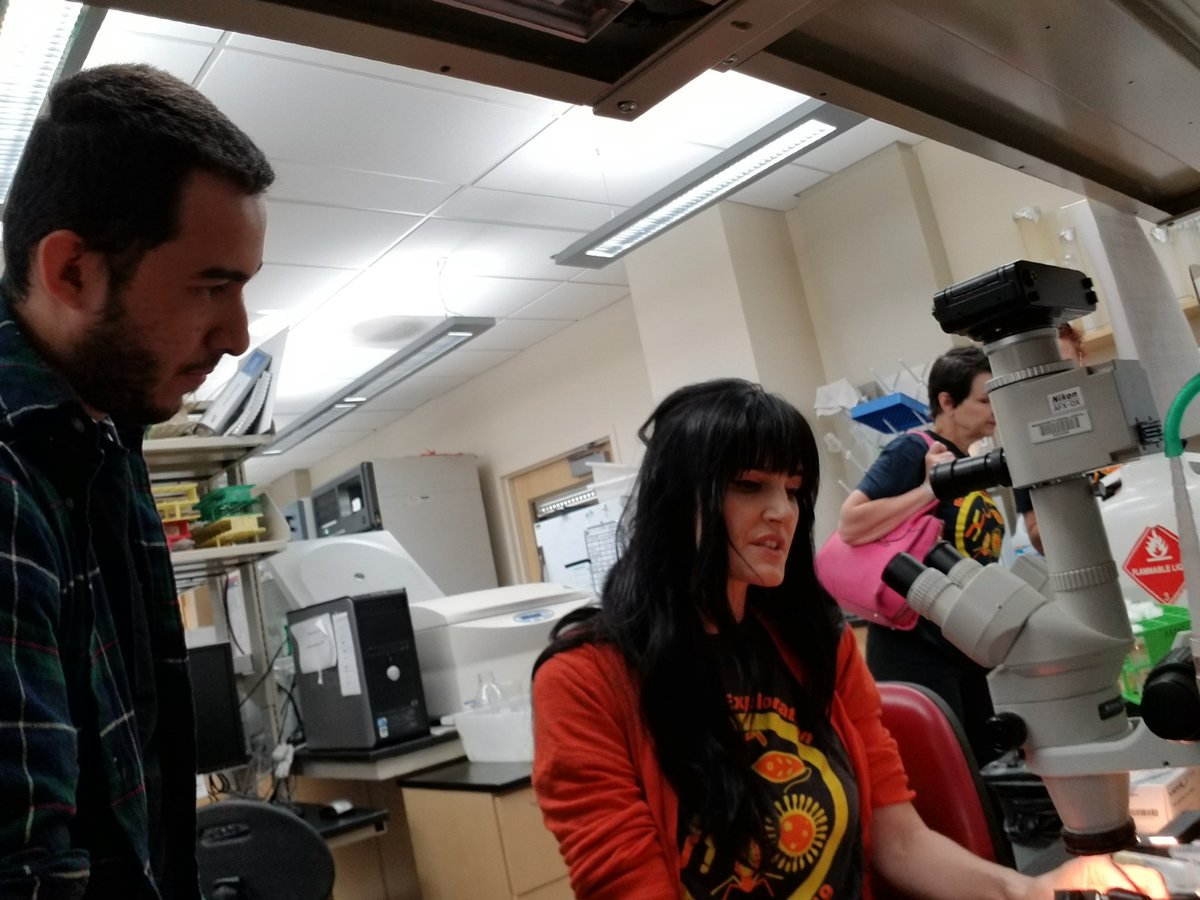 Thank you to everyone that came to our CSN INBRE #Biomedical Exploration Workshop! Students heard from Abby Reyes about health science advising, Allison McSwain about transfer admissions, &amp; explored the Science &amp; Engineering labs with Dr. Laurel Raftery &amp; Dr. Eduardo Robleto.