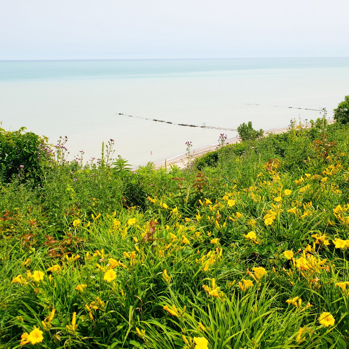 LakeEffectSurf's tweet photo. No waves but a beautiful day for a paddle! Even during the flat season we are thankful to have this amazing beach just blocks from our shop 🌞🏝
#atwaterbeach #shorewood #milwaukee #wisconsin #atwater #beach #greatlakessurfing #lakemichigan #surfwisconsin #greatlakes https://t.co/KfuozWY7oj