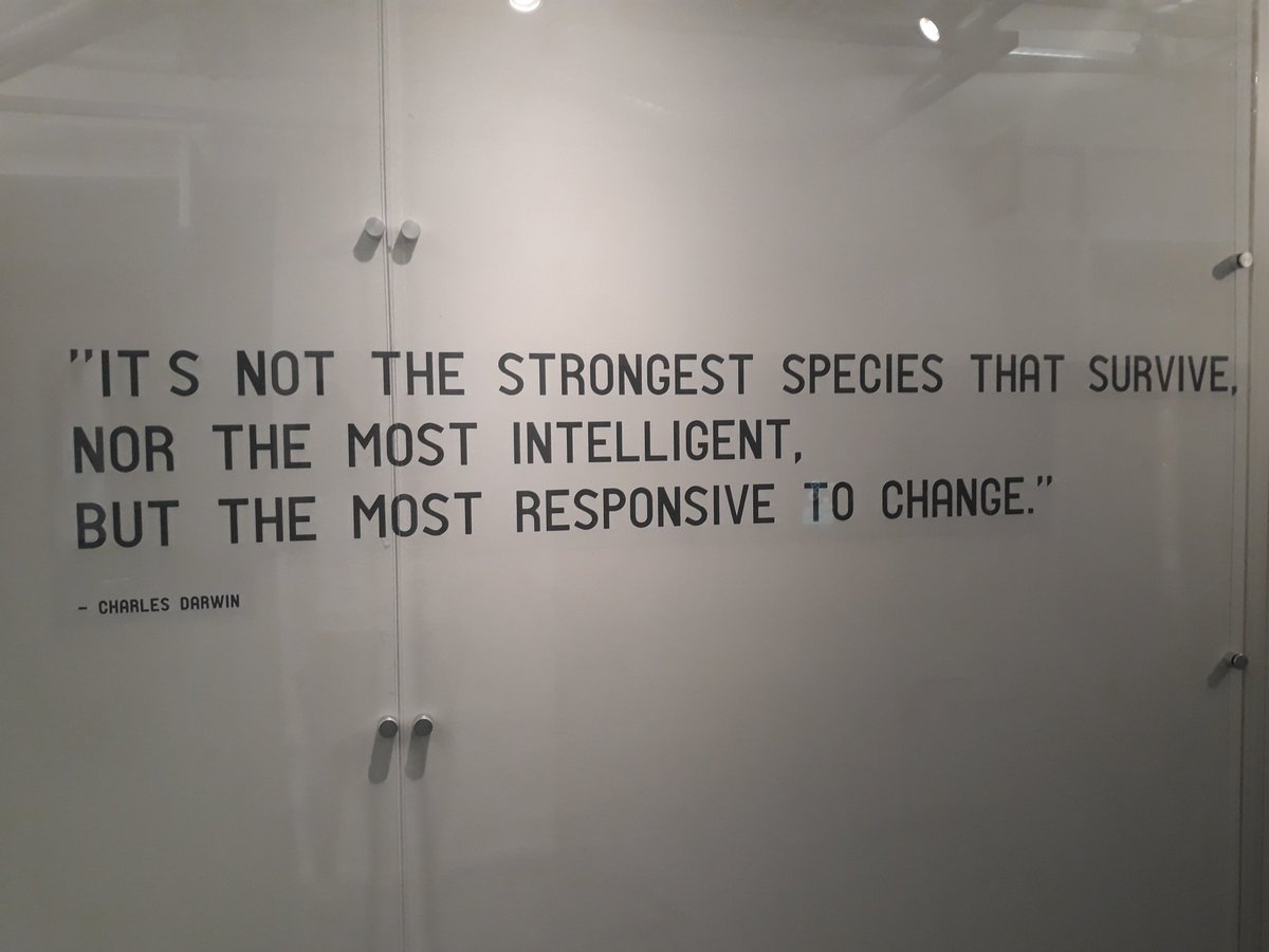 Educators: What are your favourite quotes to inspire students in a new #InnovationHub / #DesignStudio / #Makerspace? Getting some inspiration from the Google offices #GoogleEI #GoogleET #LON19 #DesignThinking #CBL #PBL #ADE2019 #ADE #GAFE #ISTE <a href="/bensummerton/">Ben Summerton</a> <a href="/briancsmith/">Brian C. Smith</a> <a href="/pep073/">Joe Sergi</a>