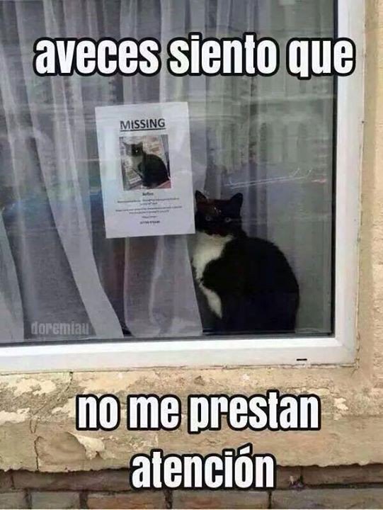 - Cuand hablo y nadie escucha
+ A veces siento que no me prestan atencion !