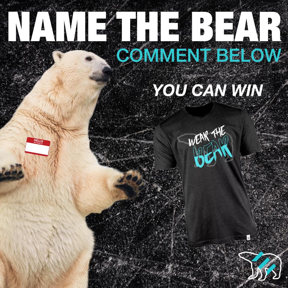 Caption contest! We need help naming our mascot, best name will win a free shirt! Comment below! #wearthebear #giveaway #contest #freeshirt #hockey #hockeylife #sweepstakes #winitwednesday