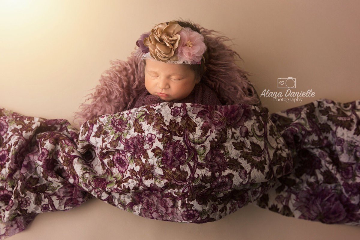 ADPhotography18's tweet photo. All of Gods grace in one tiny face. 🌸👣⠀

#AlanaDaniellePhotography #BabyGirlPhotography #BabyGirlPoses #BabyGirlPhotoshoot #GirlPoses #BabyPoses #BabyGirlPhotos #StudioPhotography #StudioPhotographer #HoustonPhotography #HoustonPhotographer https://t.co/Lf6qZirqpj