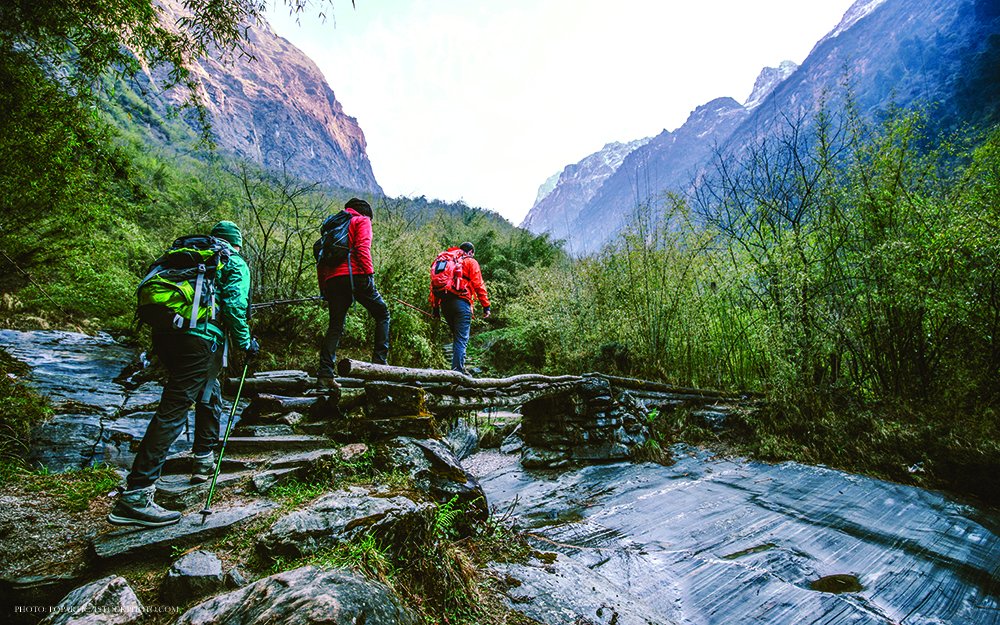 What is your secret to preventing #burnout? In this #LettertoScience, we asked scientists around the world to respond in just six words—and they answered. fcld.ly/ob7mcno #NextGenSci