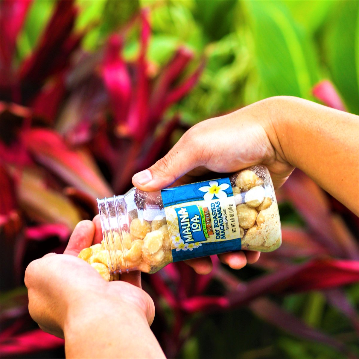 MaunaLoaMacNut's tweet photo. 👐 Handfuls of happiness 👐
#MaunaLoa #MacNuts #CrunchToADifferentBeat https://t.co/lGEBm5D6sF