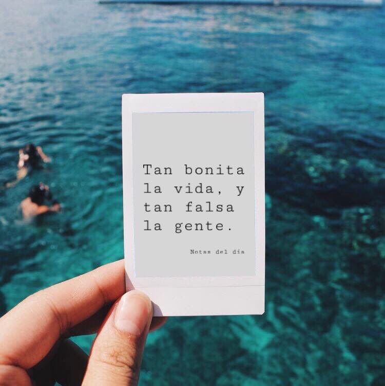 FigueroaYineska's tweet photo. https://t.co/ryZEEvOJc0