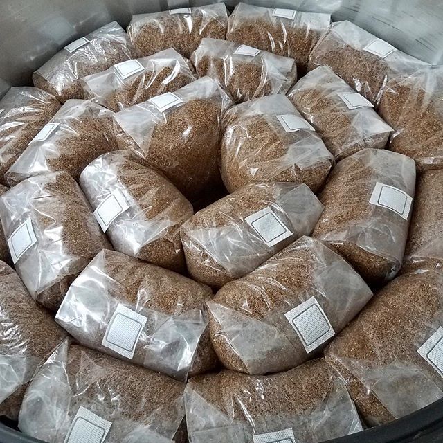 ErnessiFarms's tweet photo. Shiitake blocks waiting to be sterilized in our custom-built 250 gal autoclave! #shiitake #mushroomfarm #urbanfarming #urbanagriculture #indoorfarming #indoorag #nerdfarmer #localproduce #urbanfarmer https://t.co/CEhHuQrq5U https://t.co/Ar4hWi3rt6