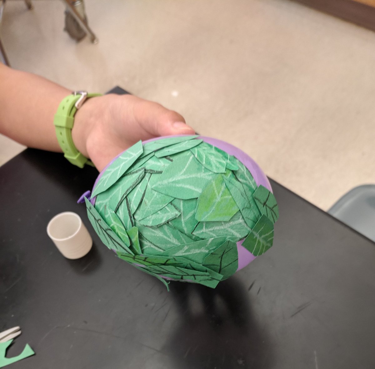 K4MontySTEM's tweet photo. This week is SOARing at a phenomenal pace! Working with MTSD teachers and students to ignite curiosity through plants and animals. #SOARwithScience #STEAM @montysci @MONTYOHES @Monty_VES https://t.co/nIoOR7x8qW