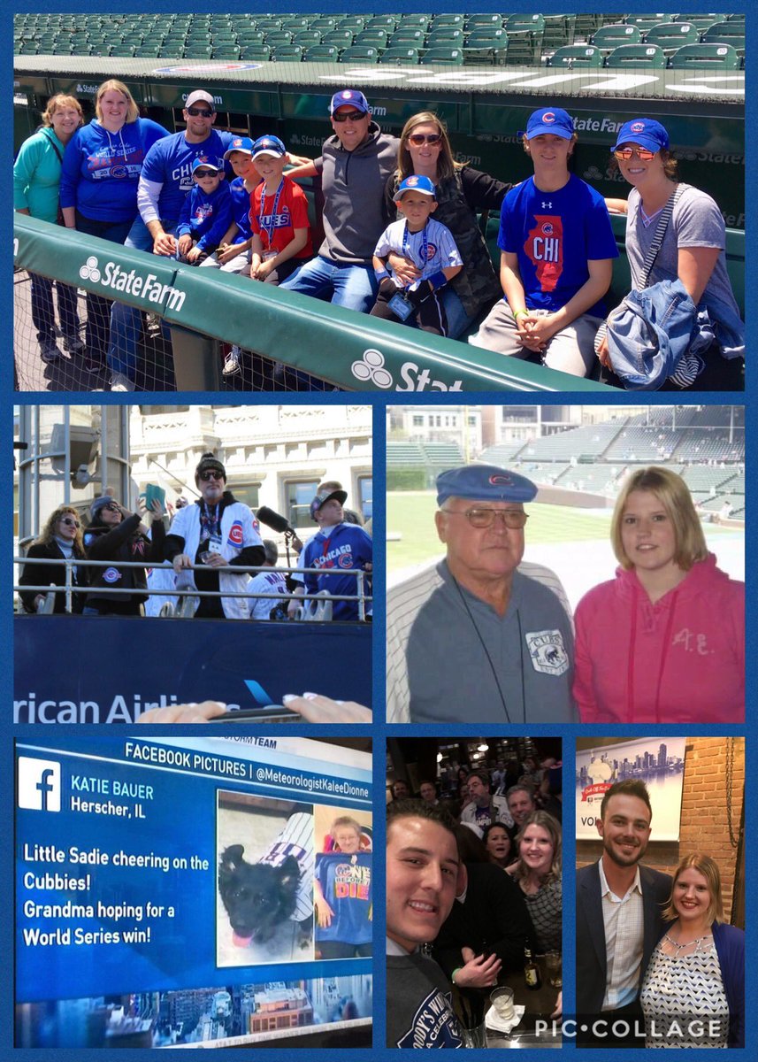 Knbauer87's tweet photo. @ARizzo44 @AmericanAir @Cubs #mycubsjourney #sweepstakesentry I couldnt choose just one photo! My family in the cubs dugout, the WS parade, my grandpa and I at a game in 2007, the time I got my grandma and dog on the news cheering the Cubbies, &amp; when I met @ARizzo44 and @KrisBryant_23 https://t.co/BPZ4qNxfsD