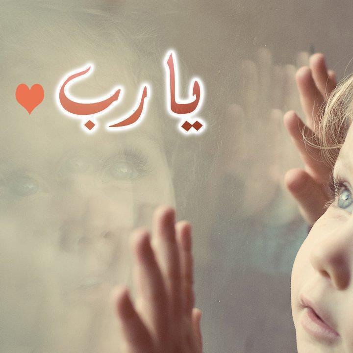 صــدرالــبــاز ♪̠ ᭄ tweet media