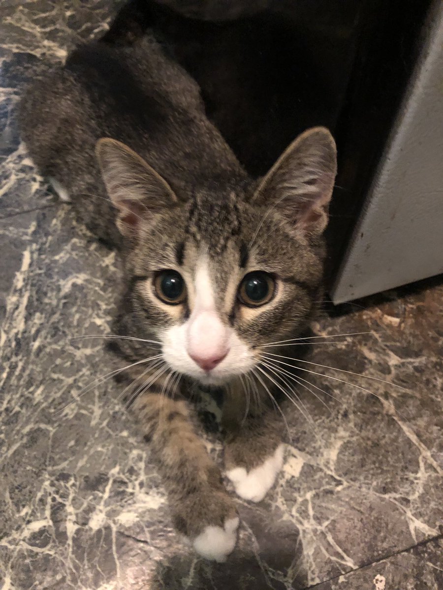 Krystal DeVille tweet media