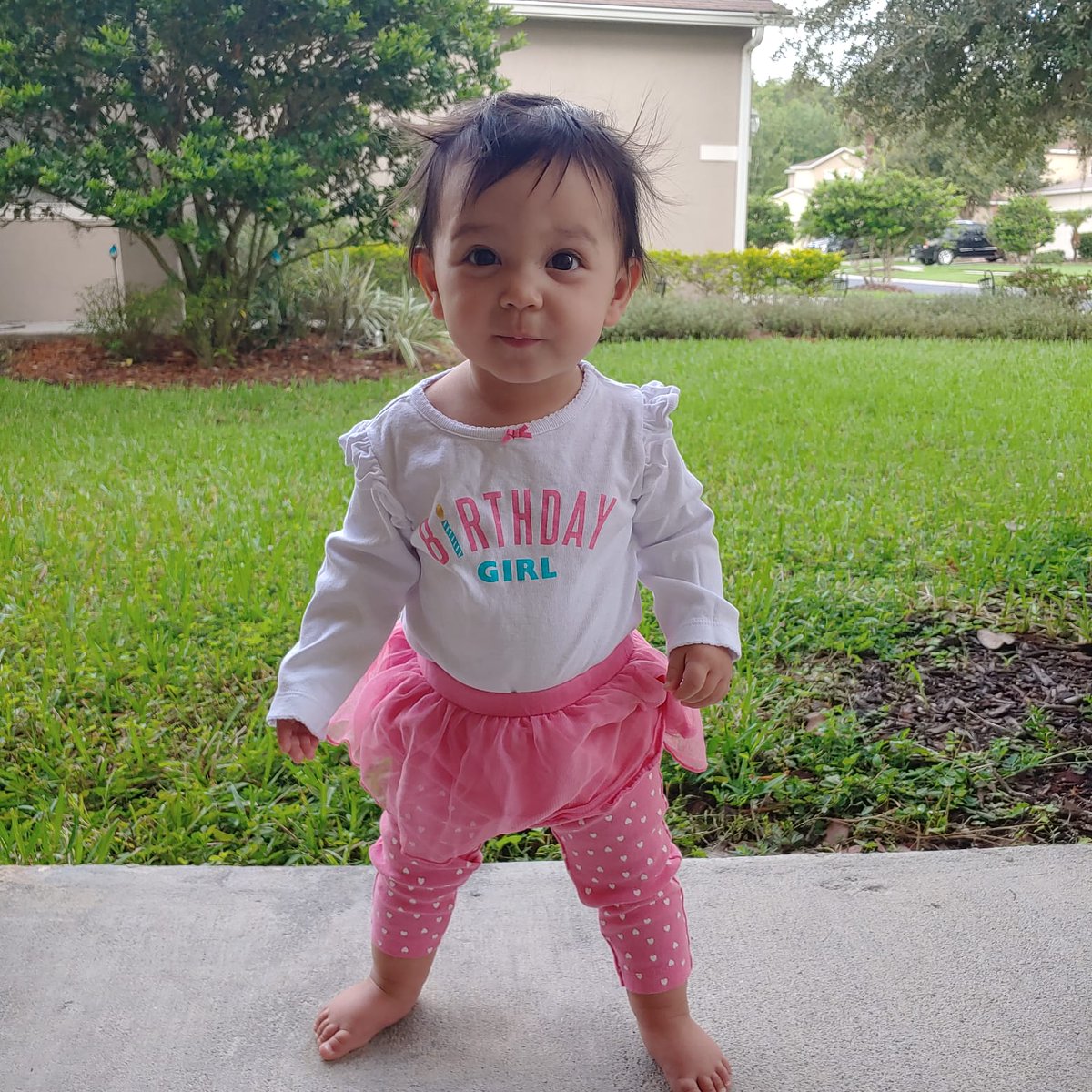 WildMagnoliaCre's tweet photo. Our little team member has been a part of WMC (and our lives) for ONE YEAR!! Happy Birthday to the person who calls all the shots in our family business. #happybirthday https://t.co/YecMAn5fWd