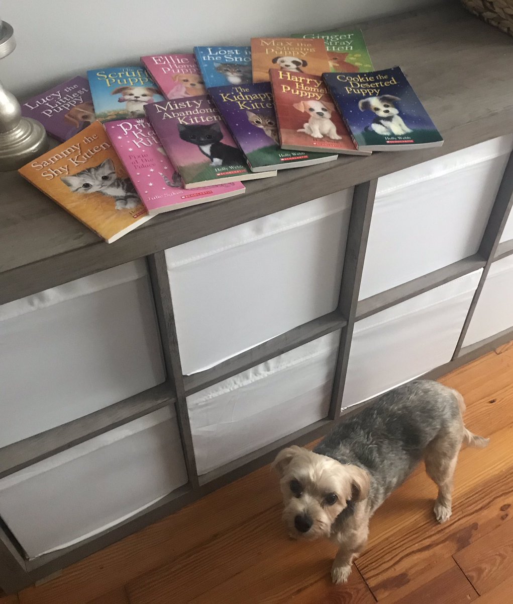 To my class last year that was worried we were missing our favorite books written by one of our favorite authors— Holly Webb! Look what just came in the mail!❤️📖 #Summerreading #welovedreadingaboutanimals #booksreplaced #hollywebb #NMUKnight