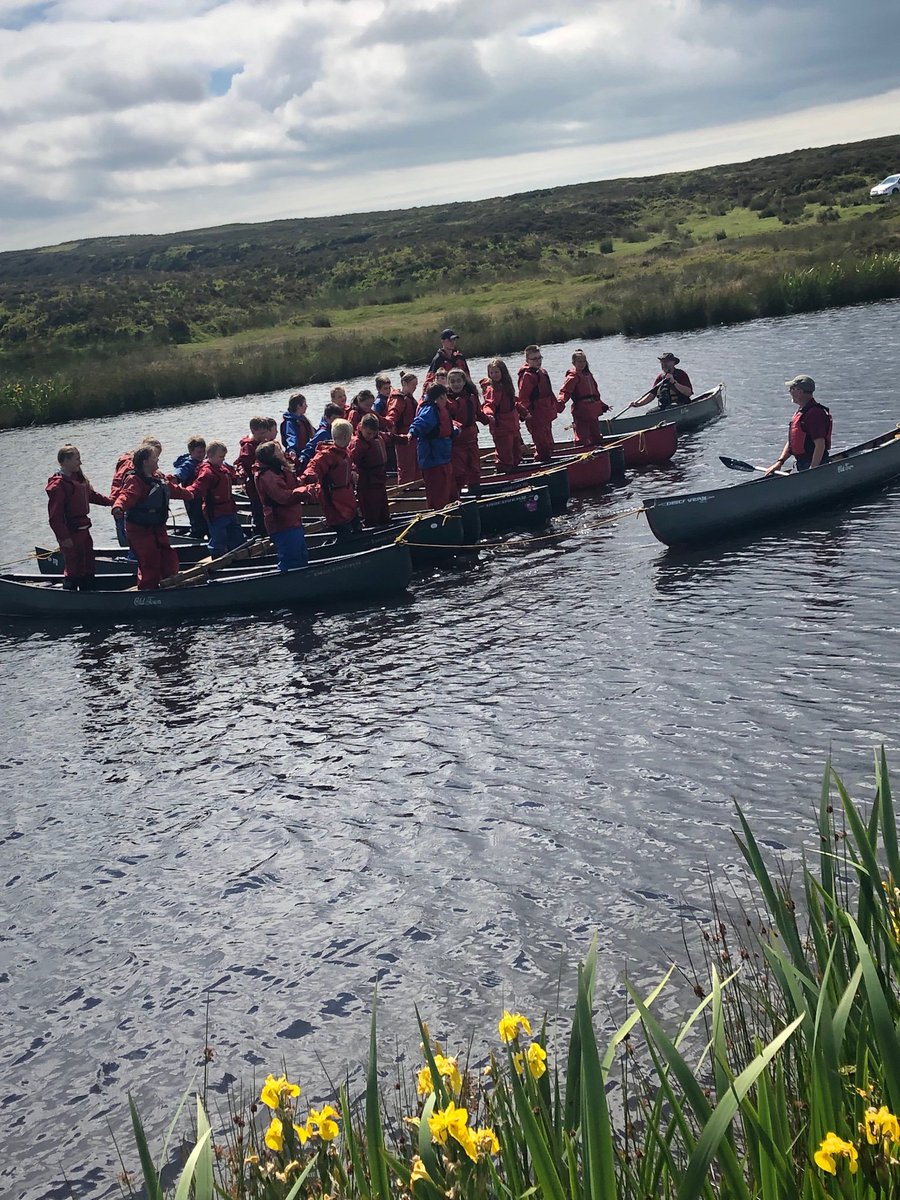 Miss Whitehouse Dosbarth Glas tweet media