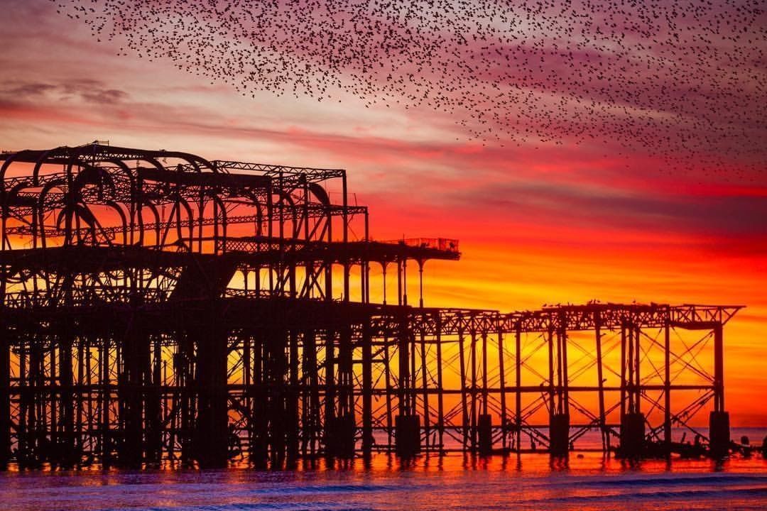 Gorgeous sunset, complete with starlings! 
#Brighton 
📸Instagram: hugo.michiels