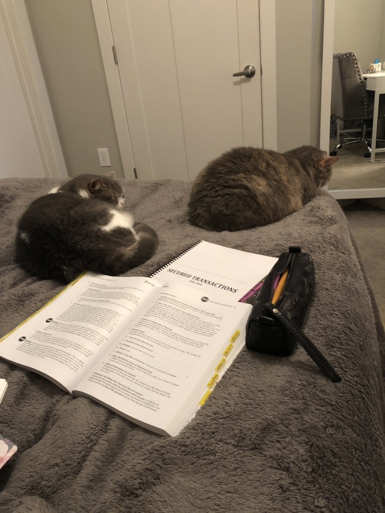 AnnaMarona's tweet photo. 10 out of 10 would not have survived this far in bar prep without my #BARBRIPets https://t.co/UI2DwsS8Pk