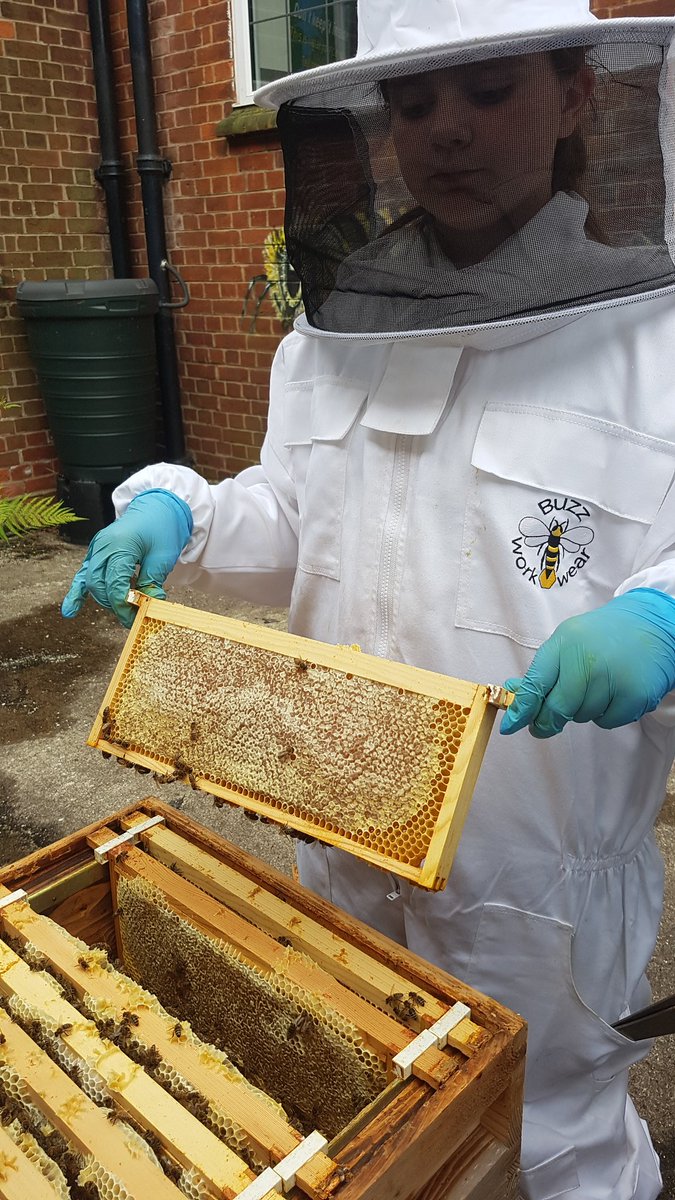 Honey production is coming on nicely, ready for extraction.