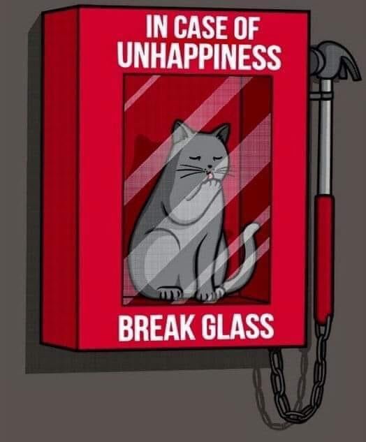 Resultado de imagem para in case of unhappiness break glass