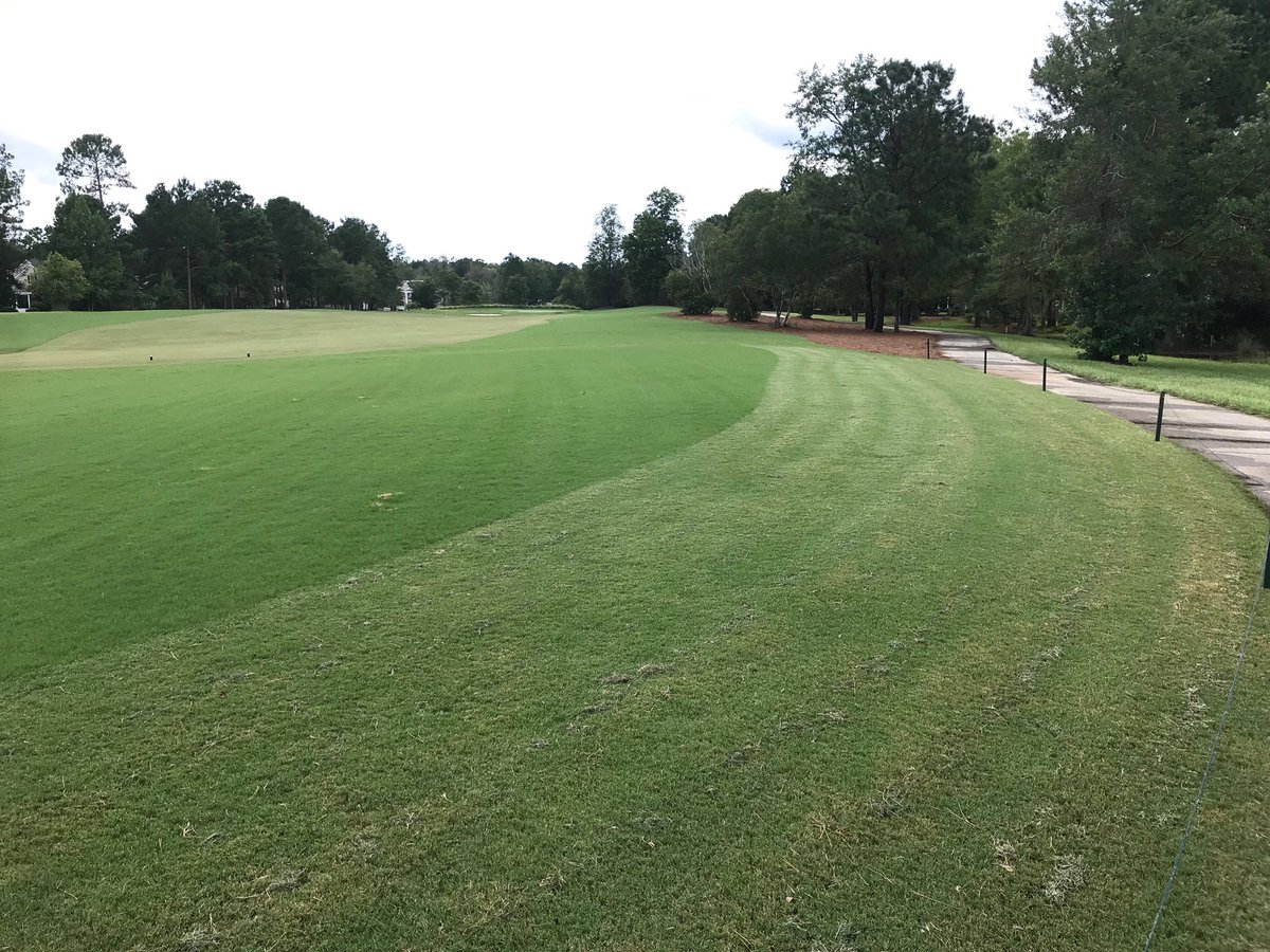 SQCCAgronomy's tweet photo. One week of growth in the rough. Unfortunately 1 + inch of rain stopped us right here on 16 today. Long as we don’t get anymore rain we will attempt to finish mowing rough tomorrow. https://t.co/1qRe9VDGJv