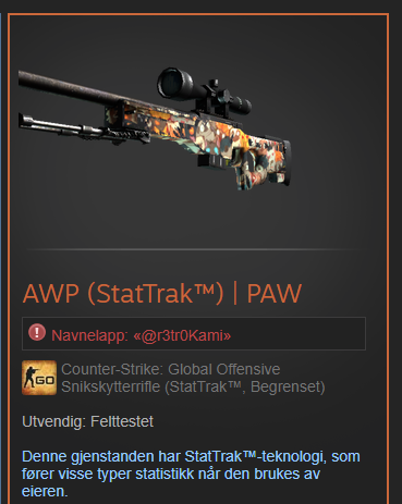 Awp Paw Stattrak Ft