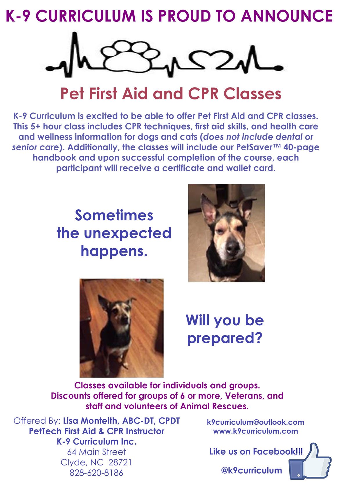 K9 curriculum sales