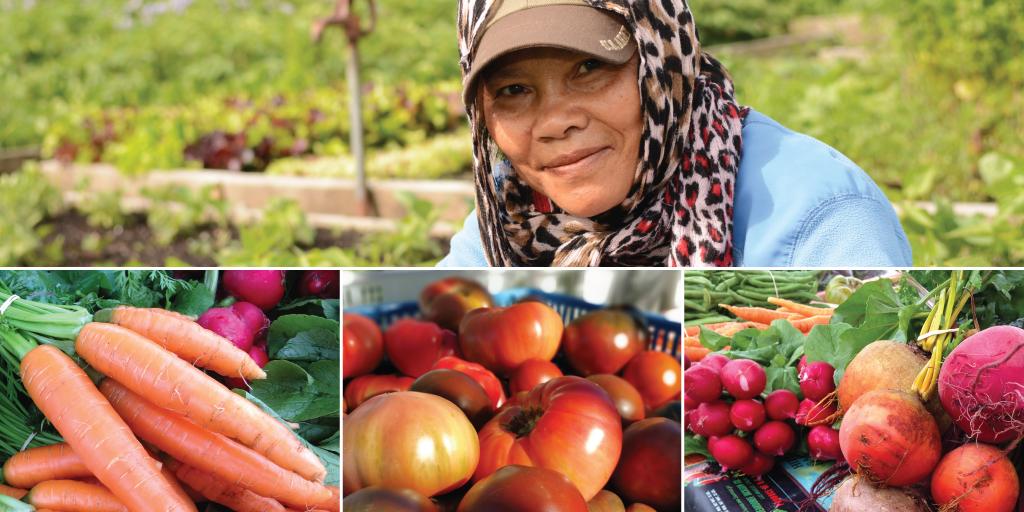 woman in garden, smiling and images of carrots, tomatoes, radishes, and beets