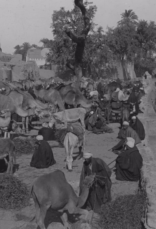 Awter9's tweet photo. صورة نادرة من سوق الاربع في قرية صنبو بمركز ديروط - محافظة اسيوط حوالي عام 1896م https://t.co/zHzUf0ODRC