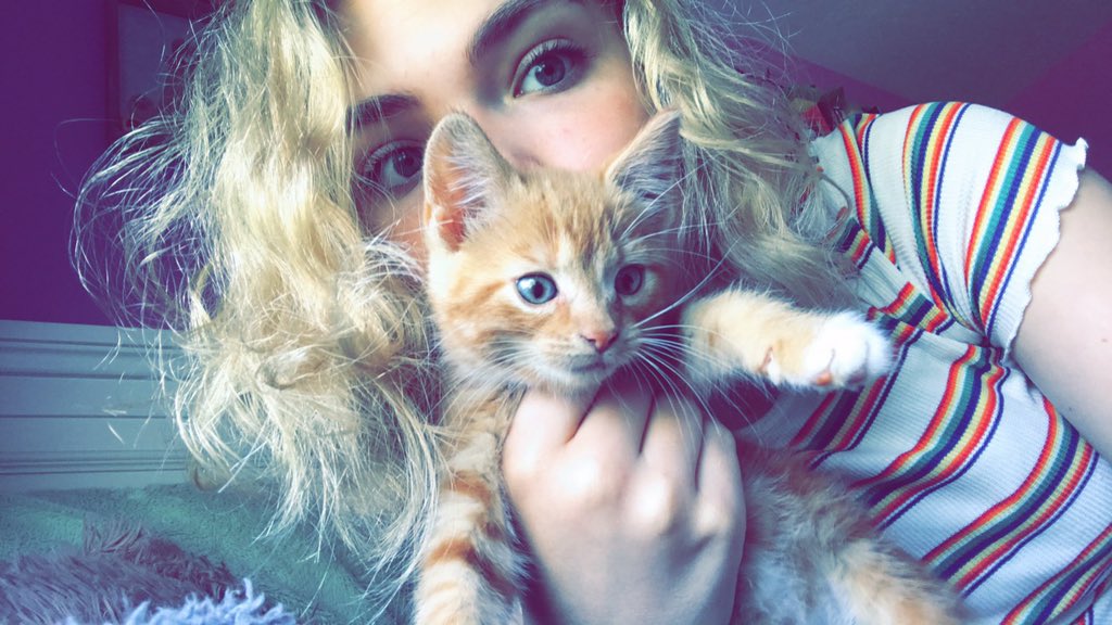Sam_Gilbert2's tweet photo. baby simba🦁🧡 https://t.co/fPBc5sRdOQ