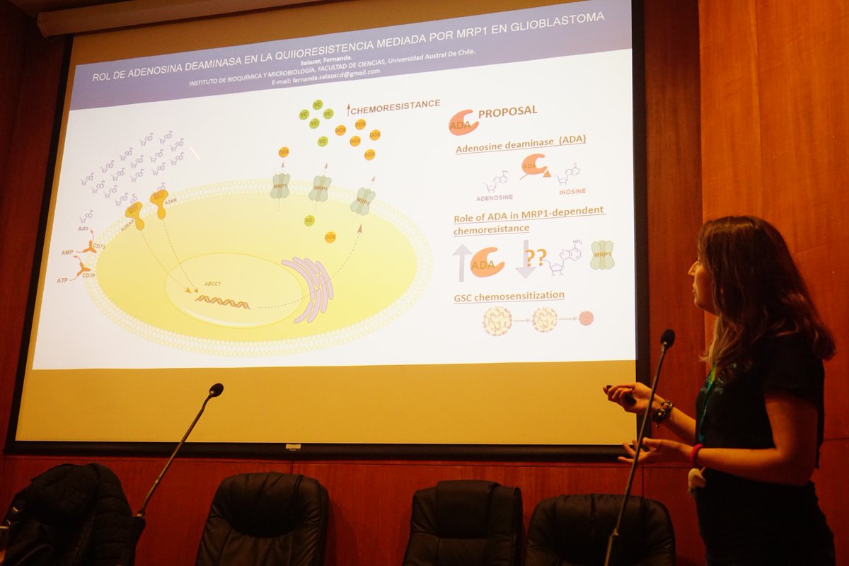 CEPUACH's tweet image. Que jornada ! 🤩❤️
18 fantásticas mentes hoy nos expusieron en sólo 5 minutos como contribuyen al conocimiento 🤓👏👏👏
Agradecimientos a tod@s l@s que pudieron asistir y felicitamos a l@s que se atrevieron a participar 🎖️🏵️
Algunas 📸 de la experiencia.